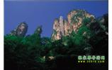 網絡熱門純玩游：張家界、天子山、袁家界、楊家界 自助三日游