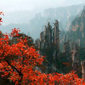 休閑自駕E線：張家界、袁家界、天子山、寶峰湖、鳳凰古城、沱江泛舟四晚五日游