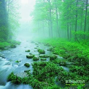 【純玩散拼尊享系列3】張家界、天子山、袁家界、黃龍洞、鳳凰三晚四日游