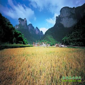 張家界往返純玩散拼：矮寨大橋、德夯苗寨、鳳凰古城、芙蓉鎮(zhèn)二日游